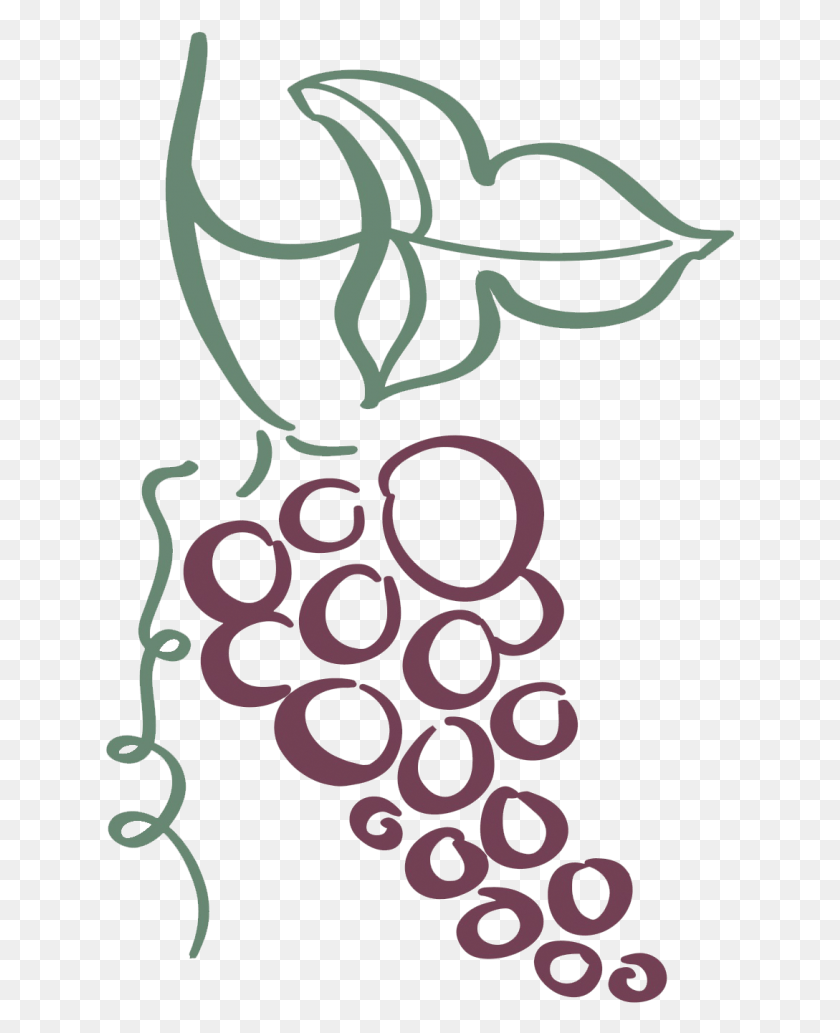 630x973 Each Case Provides A Selection Of Four Wines With Three Drawing, Plant, Graphics HD PNG Download