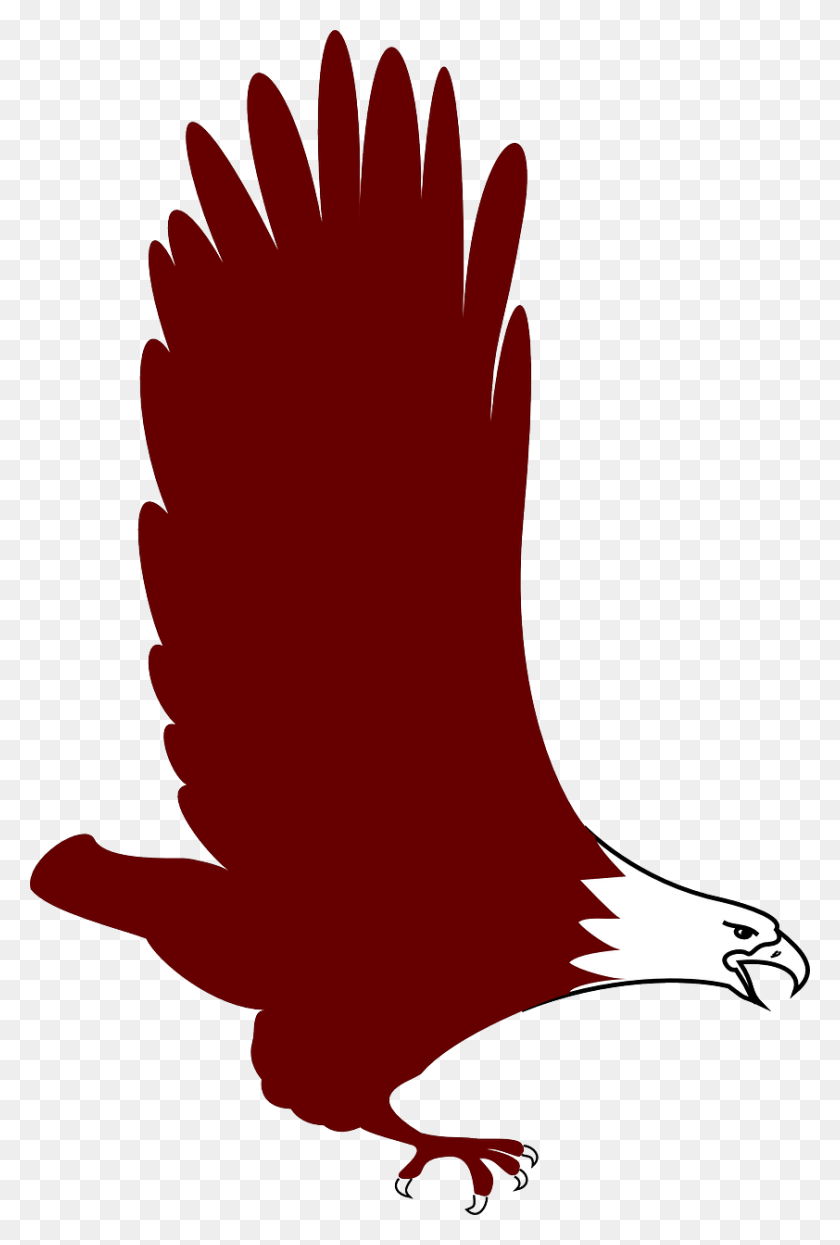 842x1280 Eagle Bird Flying Wings Image Red Eagle Clip Art, Clothing, Apparel, Footwear HD PNG Download
