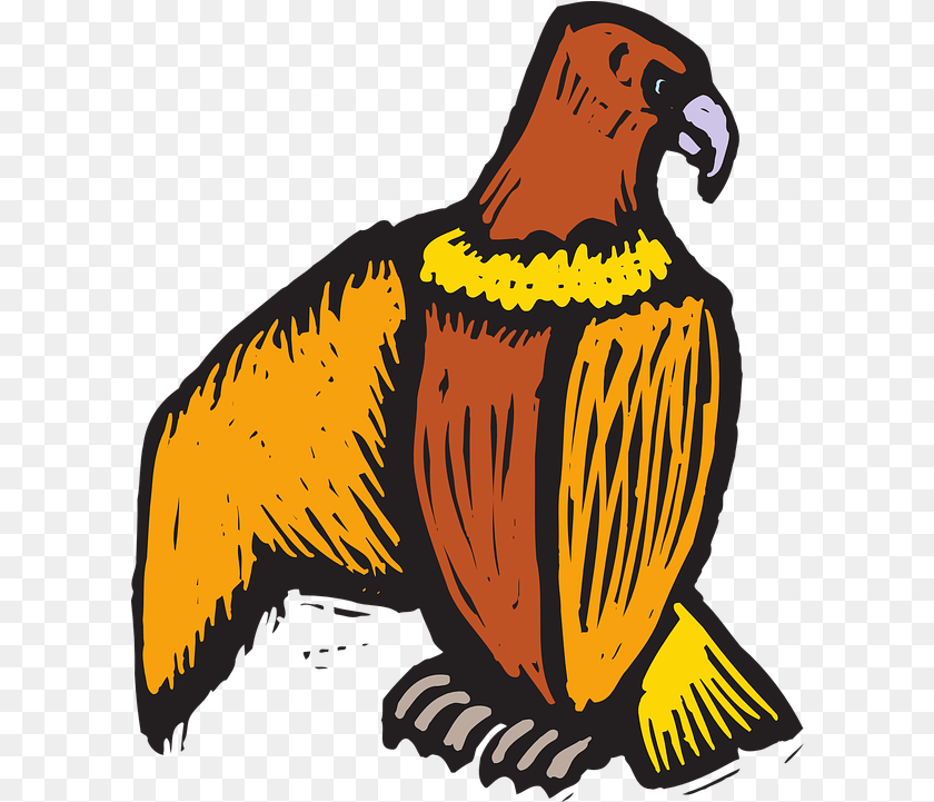 606x721 Eagle Bird Style Vector Graphic On Pixabay Beak, Animal, Vulture, Condor, Adult Transparent PNG