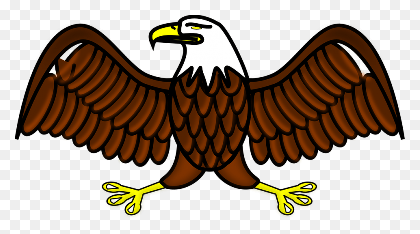 960x504 Eagle Bird Symbol Eagle Clipart, Animal, Bald Eagle, Vulture HD PNG Download