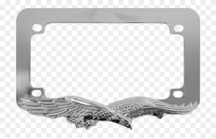 718x483 Eagle Chrome Motorcycle License Moto License Frame Plate, Bird, Animal, Flying HD PNG Download