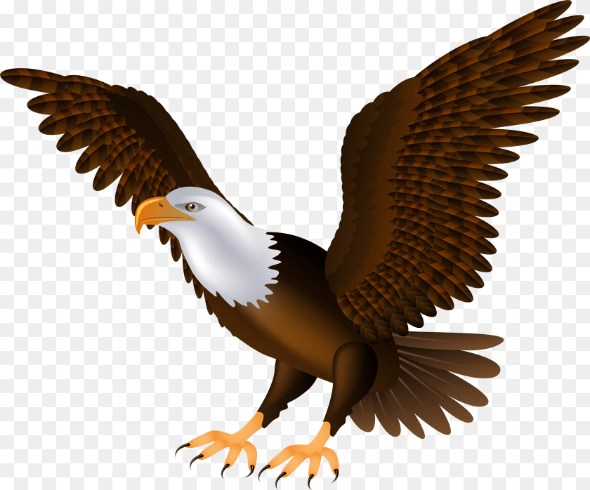 7891x6560 Eagle Clip Art Clipart Collection Transparent PNG