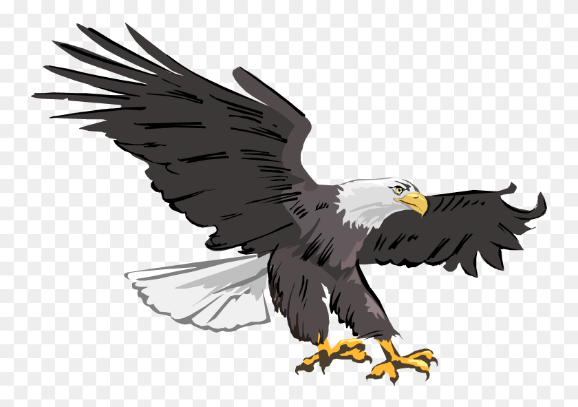 750x531 Eagle Clipart, Bird, Animal, Bald Eagle HD PNG Download