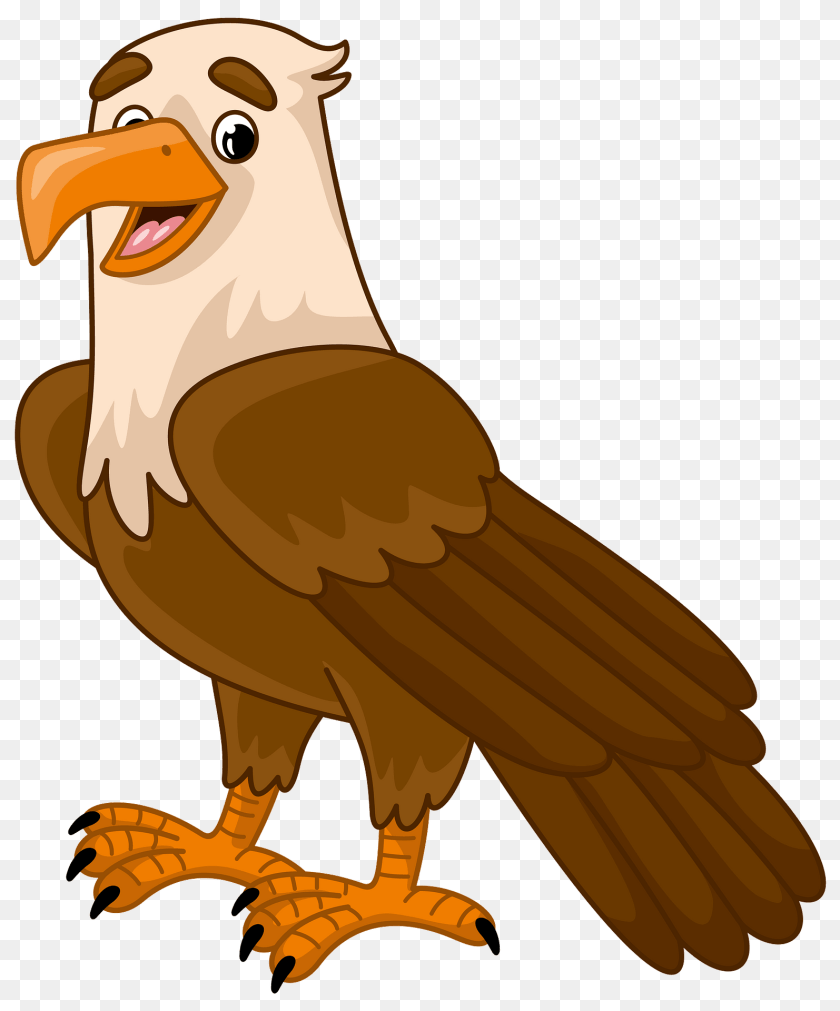 1595x1920 Eagle Clipart, Animal, Beak, Bird, Vulture Sticker PNG