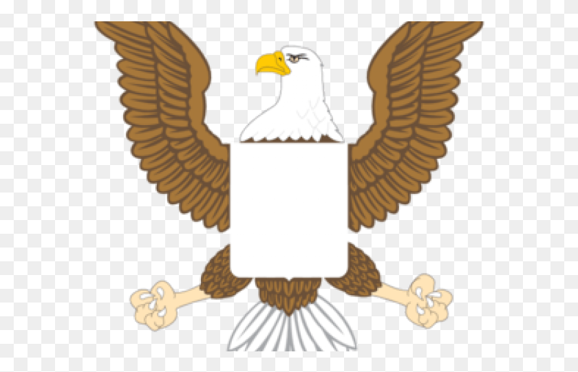 569x481 El Águila Png / Águila Americana Hd Png