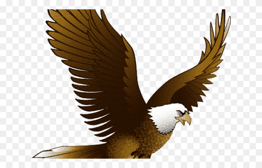 640x480 Eagle Clipart Wrestling Eagle Clip Art, Bird, Animal, Kite Bird HD PNG Download
