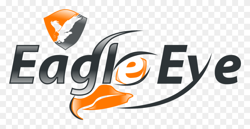 1005x482 Eagle Eyes Logo Eagle Eye Security, Symbol, Trademark, Animal HD PNG Download