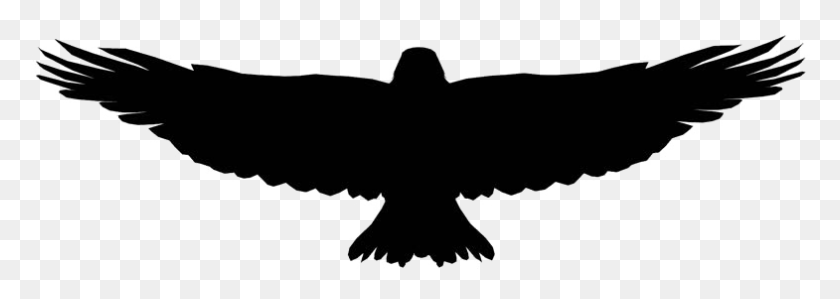 785x241 Eagle Flying Eagle, Symbol, Emblem, Bird HD PNG Download