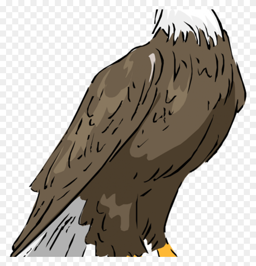 983x1025 Eagle Free Hatenylo Com Bald Clipartix Science Philippine Eagle Clip Art, Bird, Animal, Bald Eagle HD PNG Download