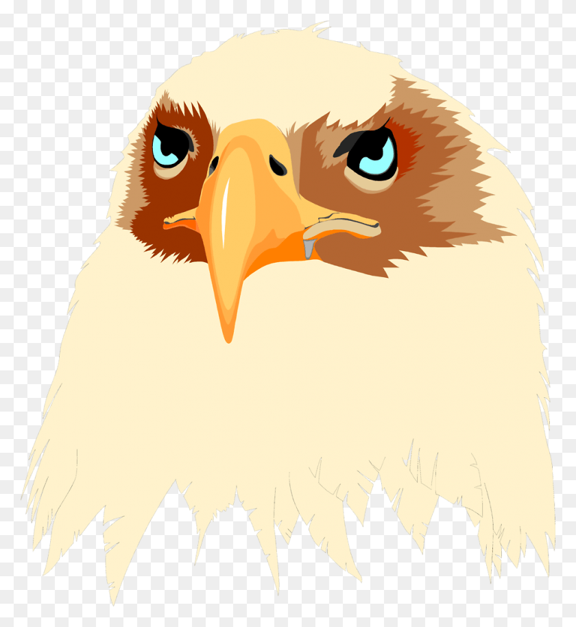 958x1050 Eagle Free Stock Illustration Of Head Eagle Usa, Bird, Animal, Bald Eagle HD PNG Download