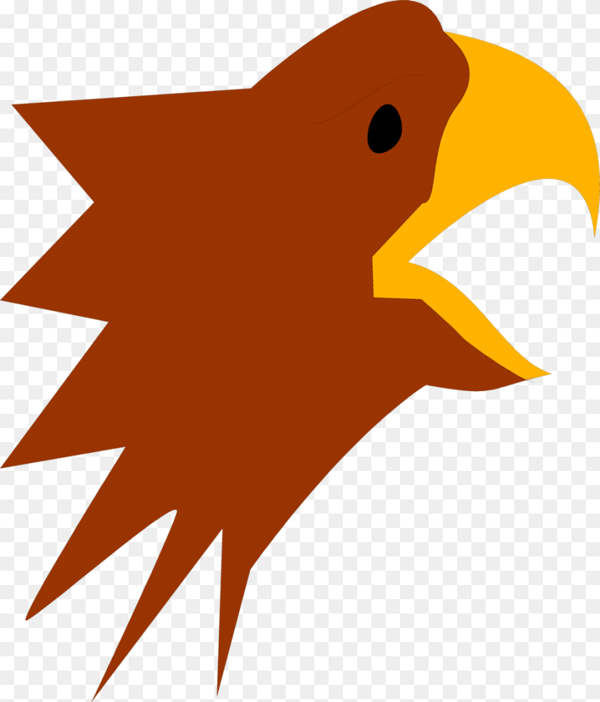 958x1122 Eagle Stock Photo Illustration Of An Eagle Head, Animal, Beak, Bird, Fish Transparent PNG