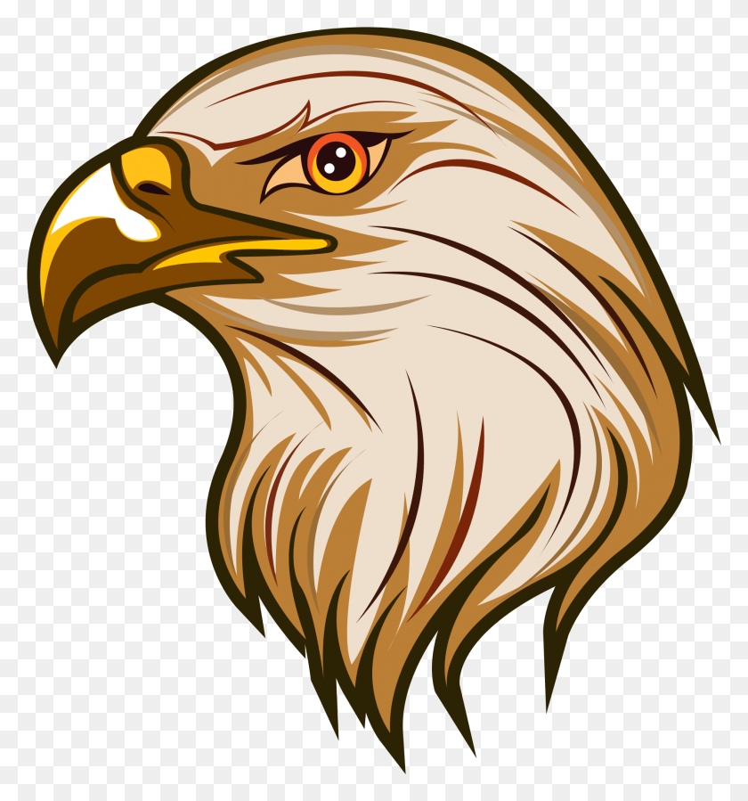 1769x1905 Eagle Head Eagle Clipart, Bird, Animal, Beak HD PNG Download