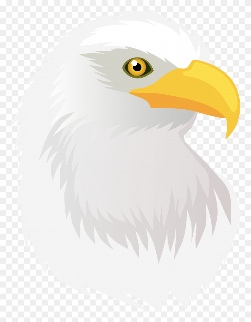 6003x7818 Eagle Head Transparent Clip Art Image Transparent Eagle Head Clipart, Eagle, Bird, Animal HD PNG Download