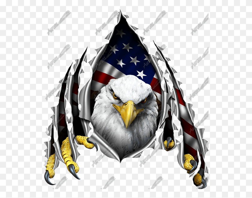 550x601 Eagle Ripping Through American Flag Clipart American Flag Eagle, Bird, Animal, Symbol HD PNG Download
