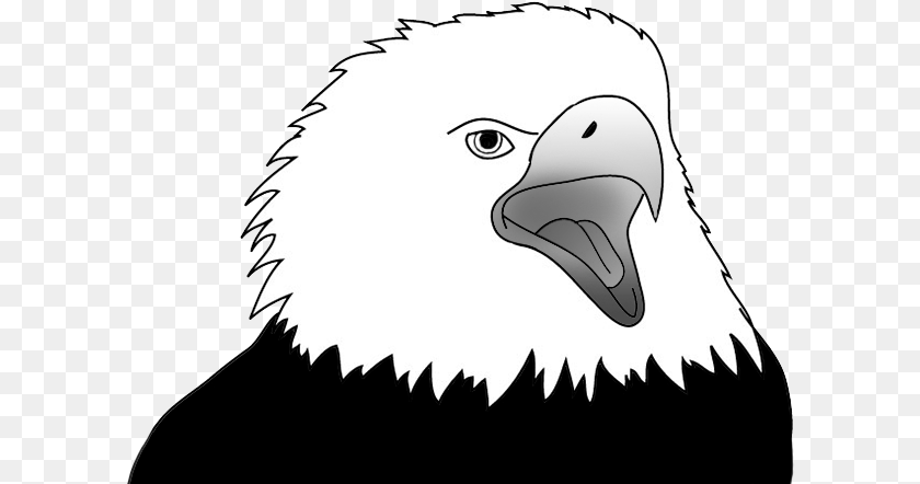 612x442 Eagle Screaming Sketch Cartoon, Animal, Beak, Bird, Bald Eagle Transparent PNG