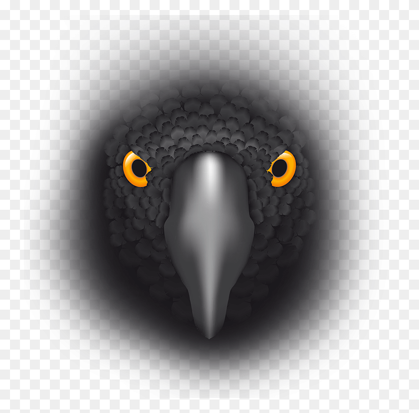 743x767 Eagle Serpent, Beak, Bird, Animal HD PNG Download