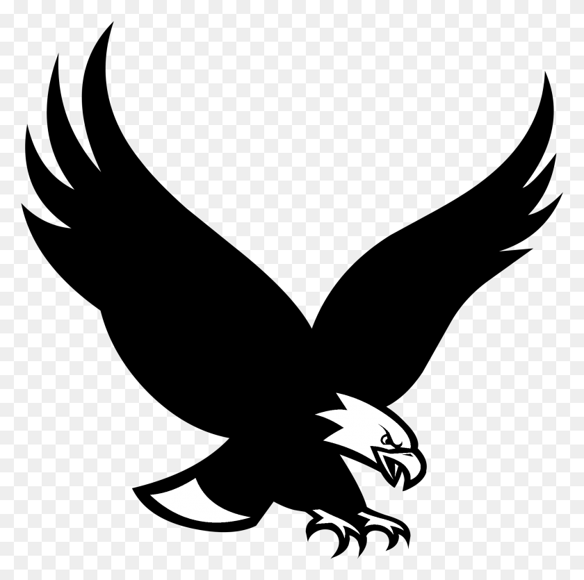 2043x2032 Eagles Logo Boston College Eagles, Bird, Animal HD PNG Download