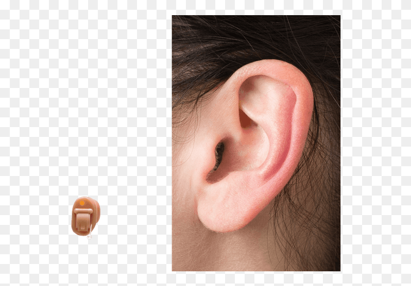 552x525 Ear, Person, Human, Accessories HD PNG Download