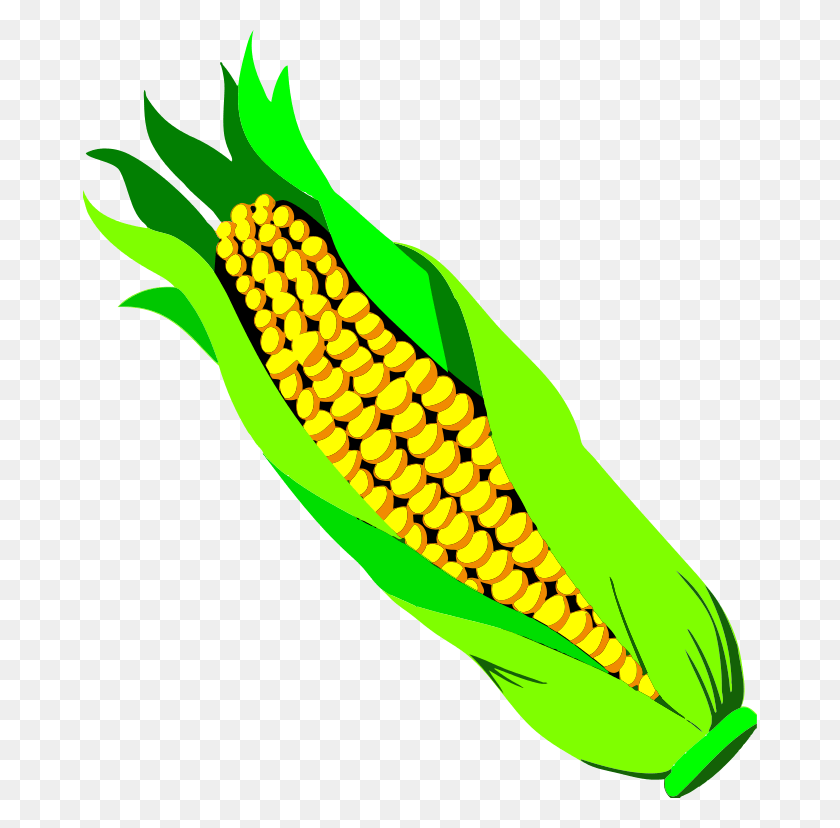 674x768 Ear Of Corn Clipart Ear Of Corn, Plant, Vegetable, Food HD PNG Download