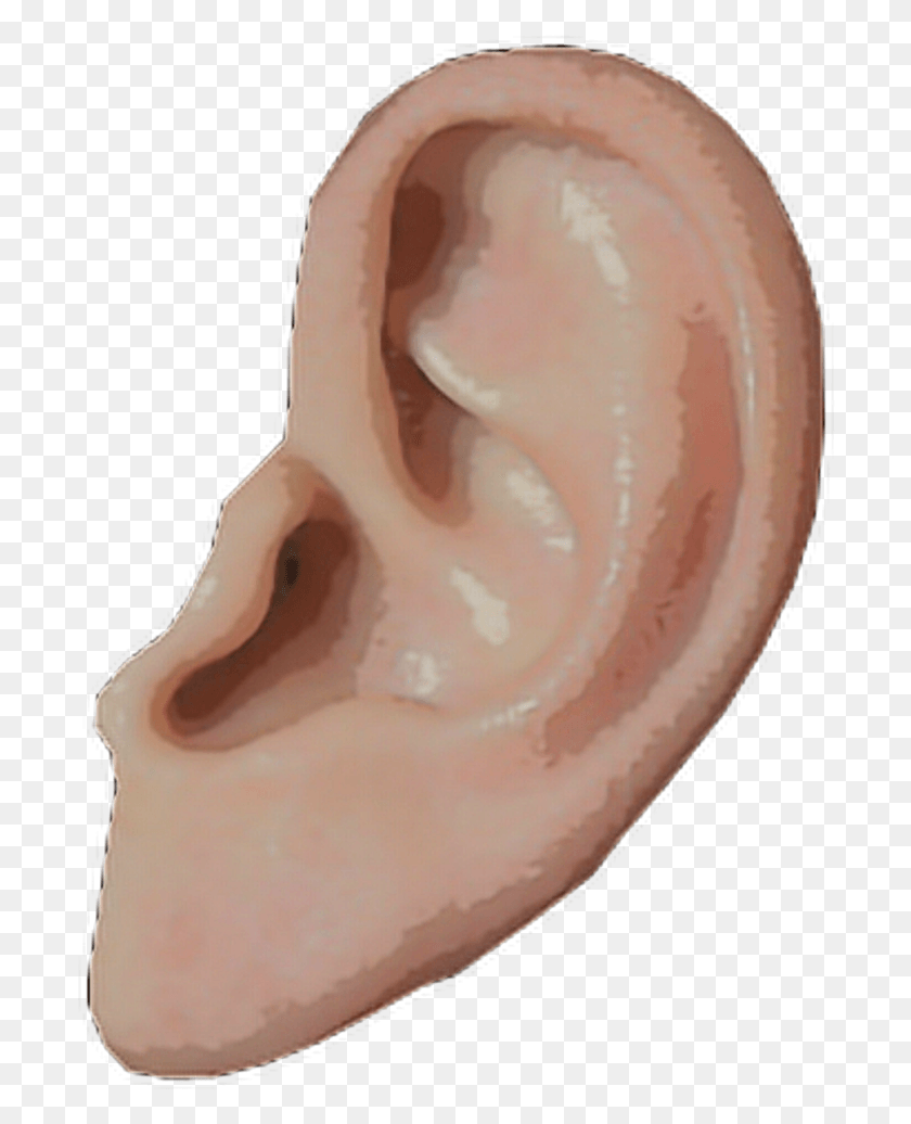 702x976 Ear Transparent Image Ear, Egg, Food, Ice Cream HD PNG Download