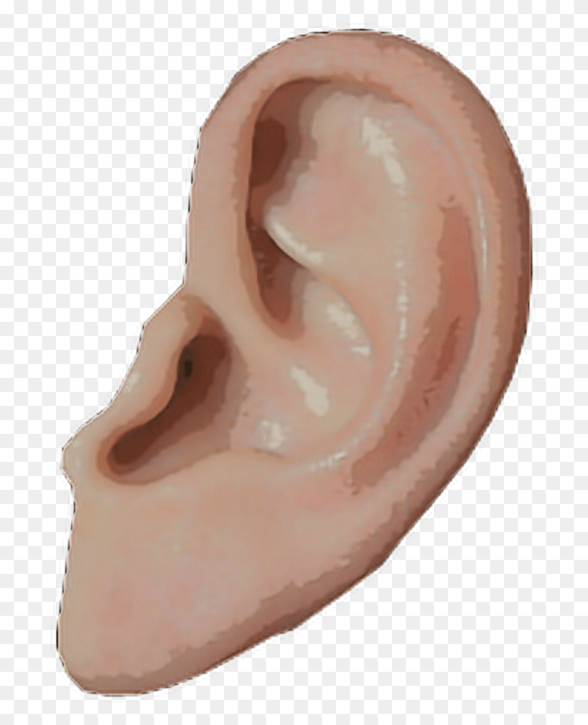 702x976 Oreja Png / Oreja Png