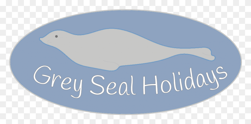 957x438 Earless Seal, Animal, Sea Life, Outdoors HD PNG Download