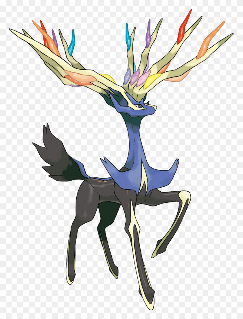 960x1281 Early Vgc 2019 Team Building Xerneas, Bird, Animal, Flower HD PNG Download