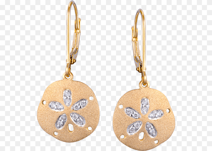 550x599 Earring, Accessories, Jewelry, Gold, Locket PNG