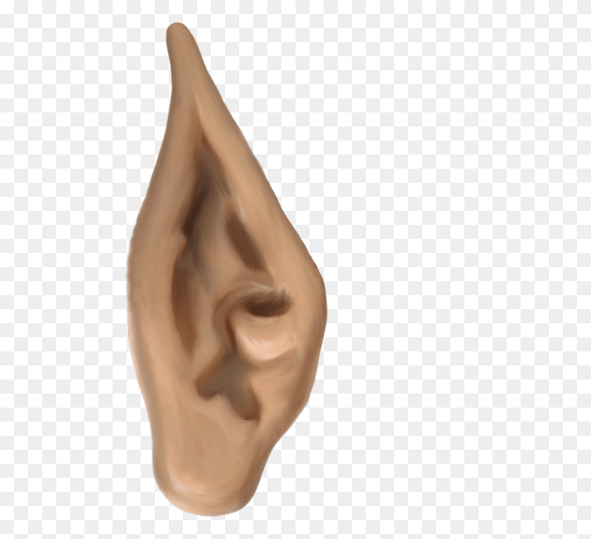 490x707 Ears Elf Ears, Person, Human, Ear HD PNG Download