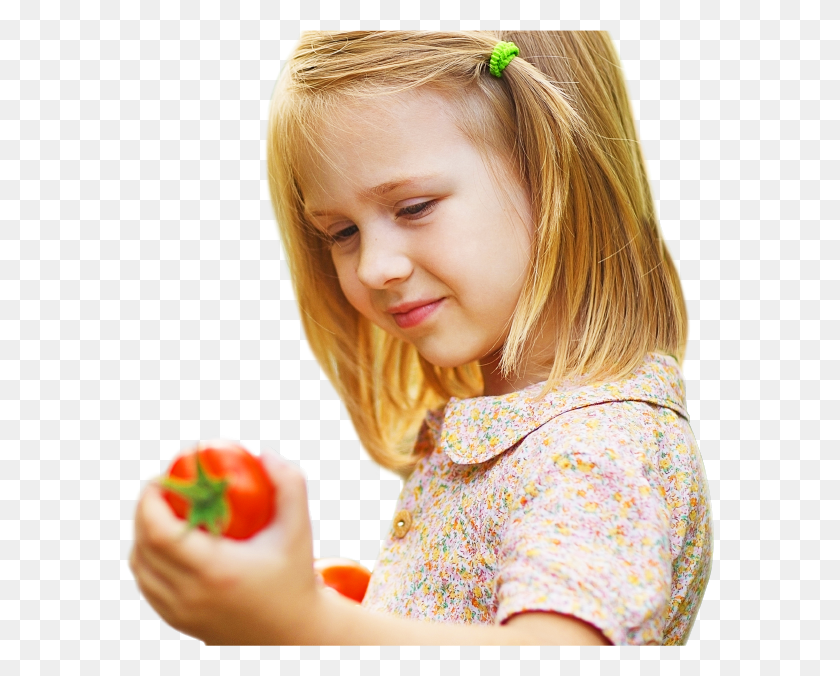 589x616 Earth Conscious Family Farmers Tomato Experts Girl, Person, Human, Plant HD PNG Download