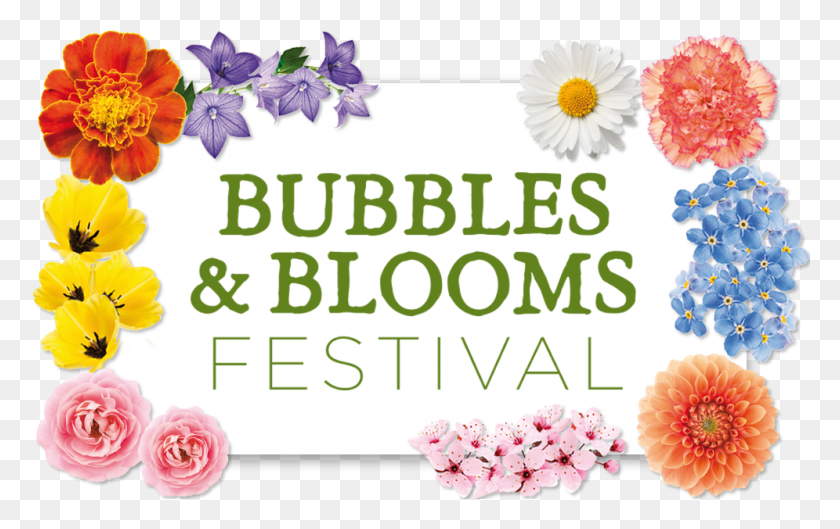 996x600 Earth Day Sunday April Bubbles And Blooms, Plant, Flower, Blossom HD PNG Download