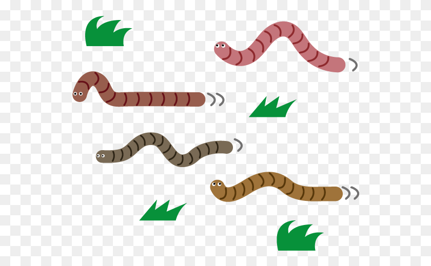 560x459 Earth Worm Transparent, Reptile, Animal, Snake HD PNG Download