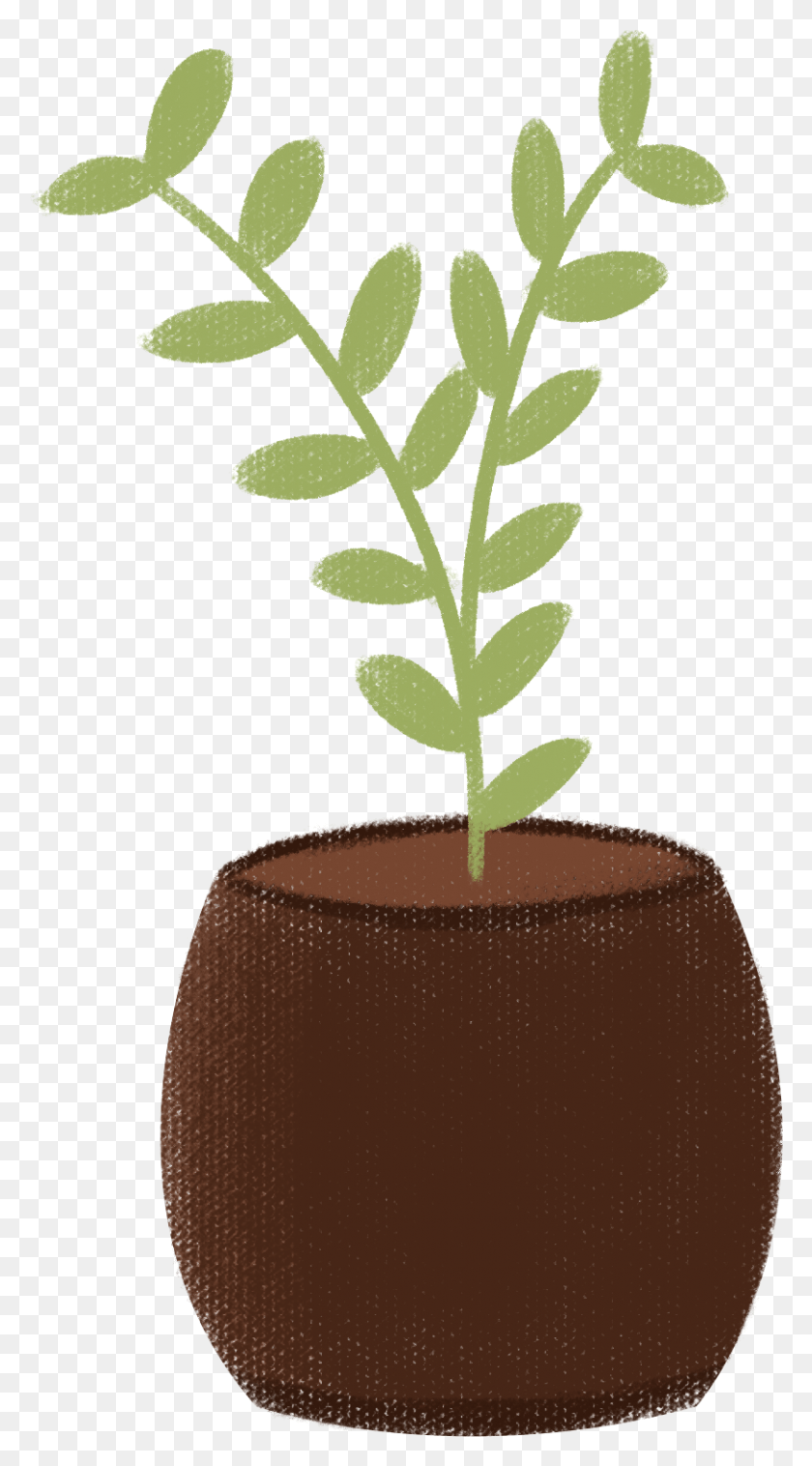811x1514 Earthen Clay Pots Grass Potted Plants And Psd Flowerpot, Plant, Leaf, Tree HD PNG Download