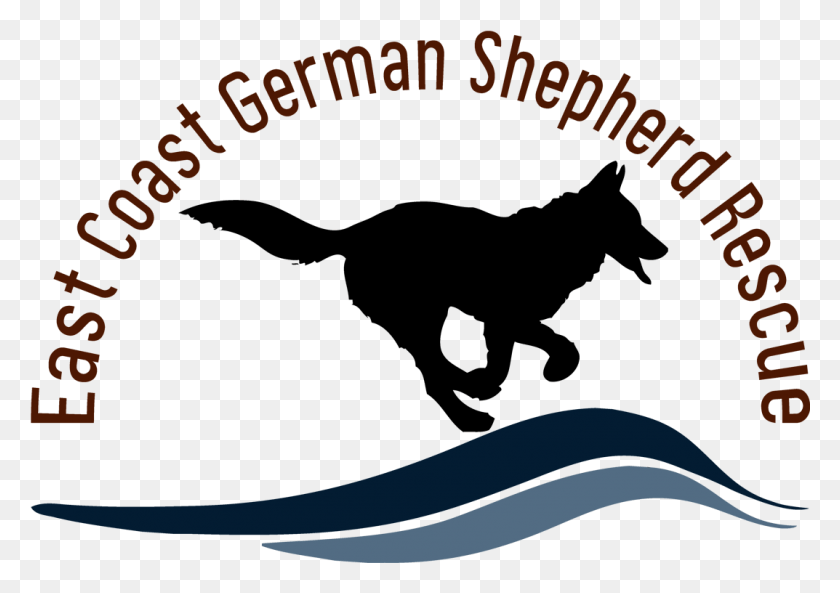 1073x734 East Coast German Shepherd Rescue Angela Duggan Dog Catches Something, Outdoors, Text, Animal HD PNG Download