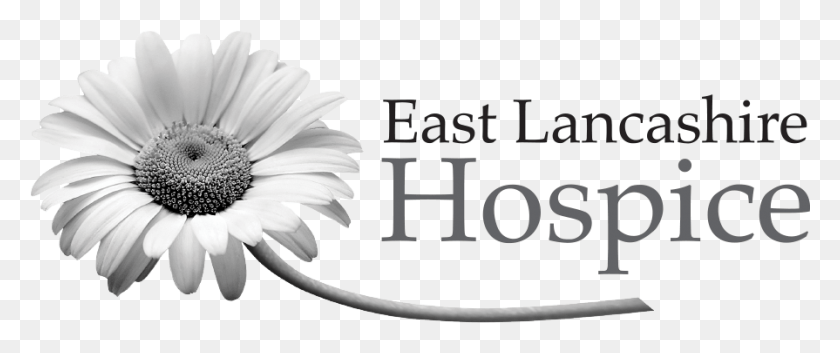 895x337 Логотип Хосписа Восточного Ланкашира, Растение, Ромашка, Цветок Png Скачать