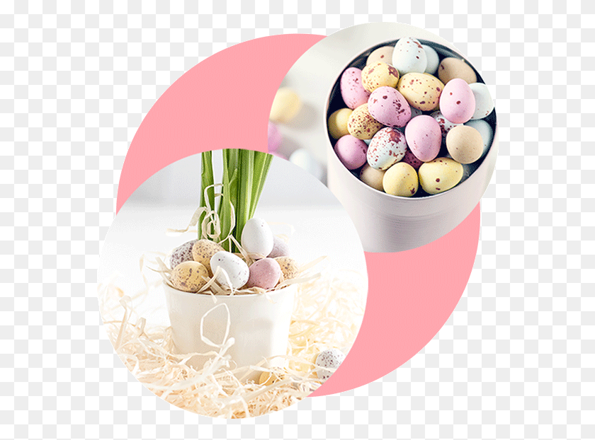 568x562 Easter 2019, Food, Egg, Easter Egg HD PNG Download