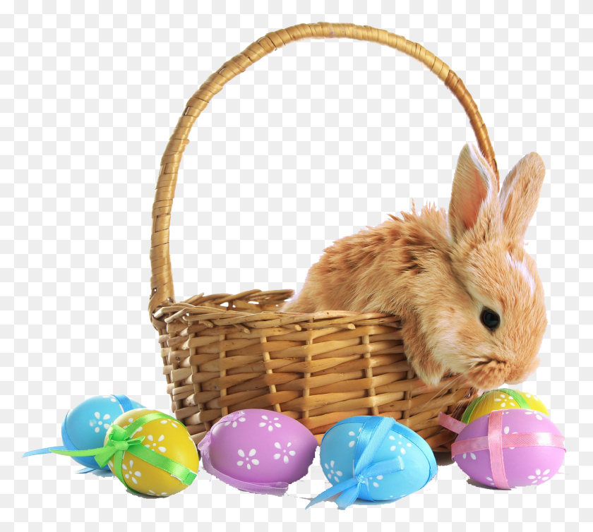 1357x1208 Easter Basket With Bunny, Basket, Mammal, Animal HD PNG Download