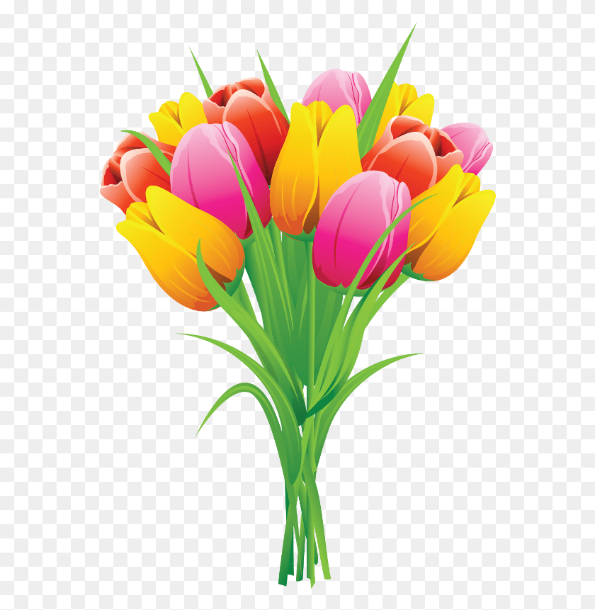 561x801 Пасхальные Цветы Клипарт Иллюстрации Творческий Рынок Тюльпаны Клипарт, Растение, Цветок, Цветение Hd Png Скачать
