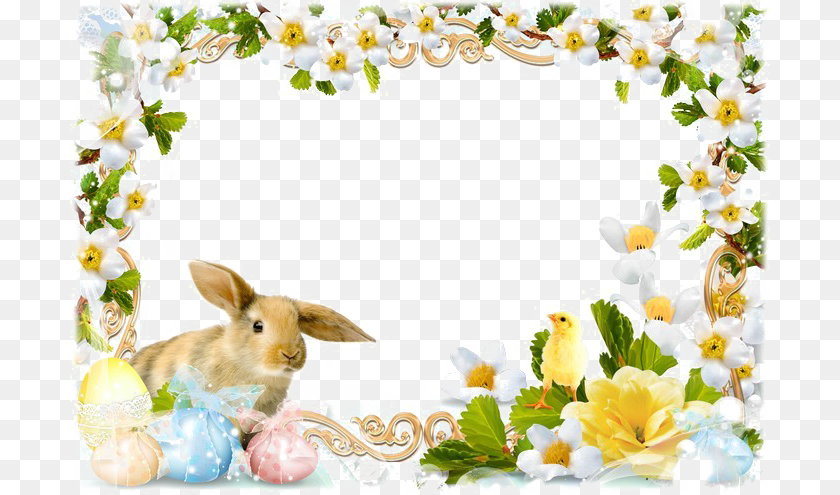 Easter Frames Image, Animal, Mammal, Rabbit, Bird PNG