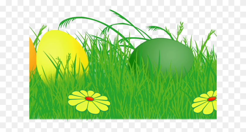 641x393 Easter Grass Cliparts Transparent Background Easter Images, Tennis Ball, Tennis, Ball HD PNG Download