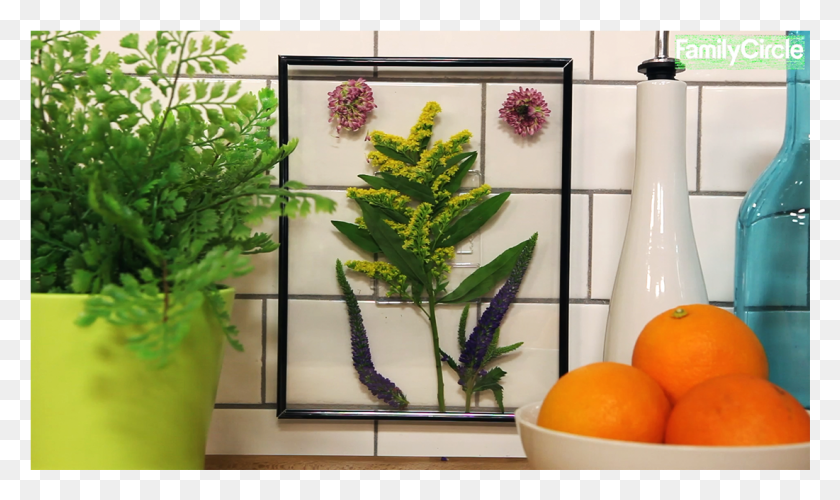 1101x622 Easy Diy Leaf Frame Valencia Orange, Plant, Citrus Fruit, Fruit HD PNG Download