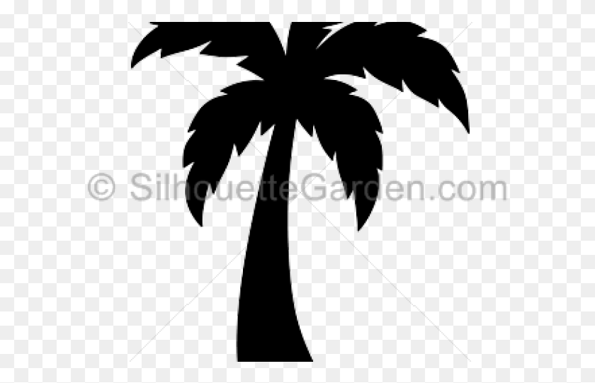595x481 Easy Palm Tree Silhouette, Leaf, Plant, Tree Descargar Hd Png