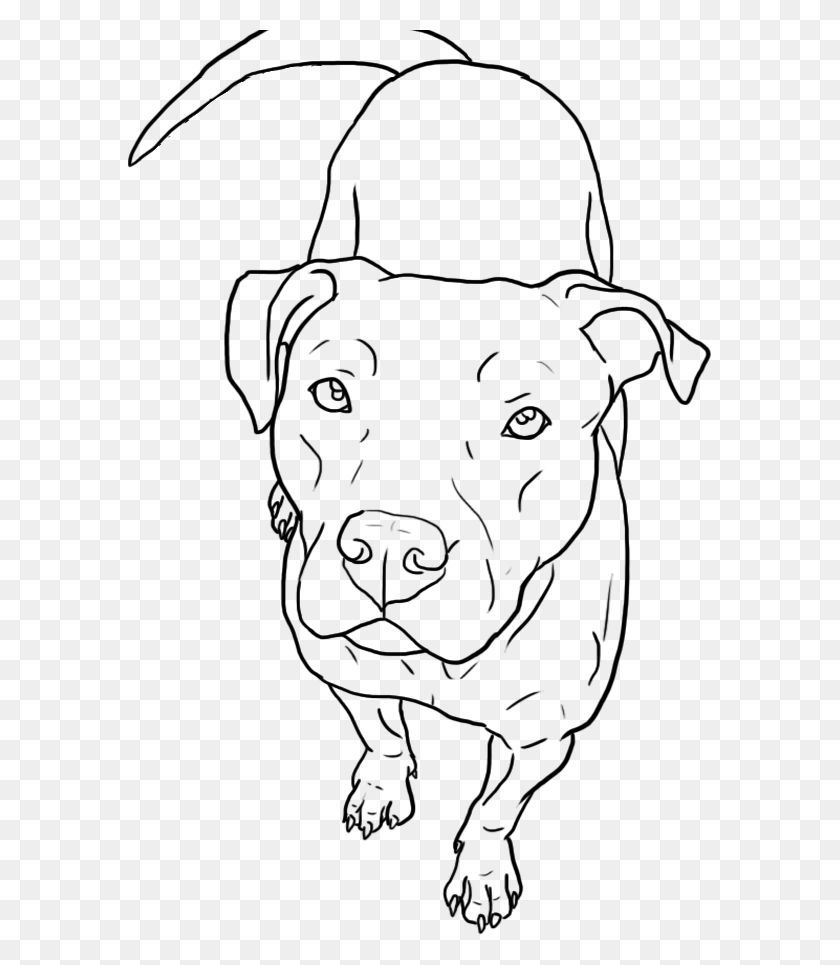 585x905 Easy Pitbull Face Drawings Red Nose Pitbull Drawings, Gray, World Of Warcraft HD PNG Download