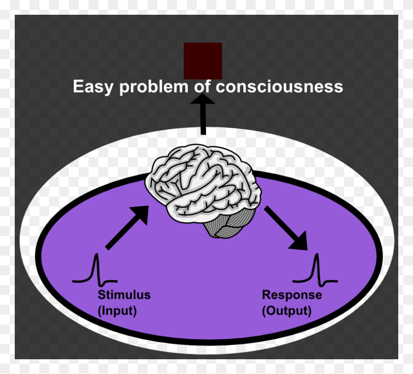 800x719 Easy Problem Of Consciousness Functional Model Of Consciousness, Clothing, Apparel, Hat HD PNG Download