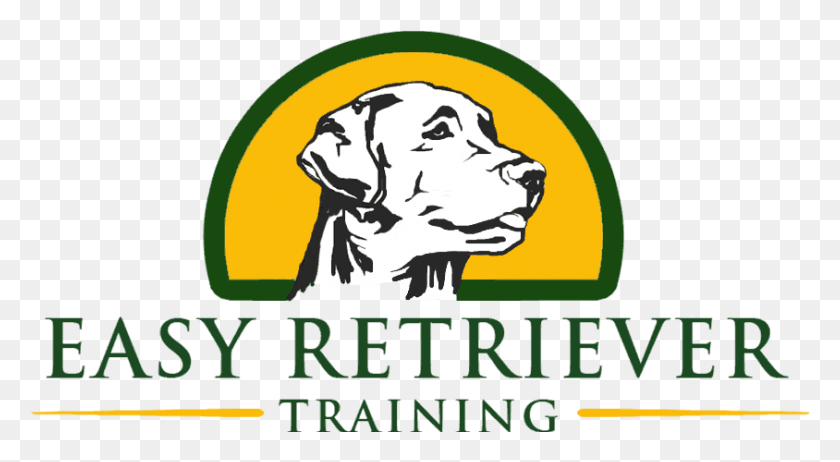 844x435 Easy Retriever Training O Melveny Amp Myers Logo, Poster, Advertisement, Text HD PNG Download