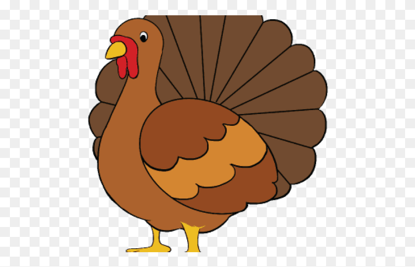 488x481 Easy To Draw Turkey, Bird, Animal, Fowl HD PNG Download