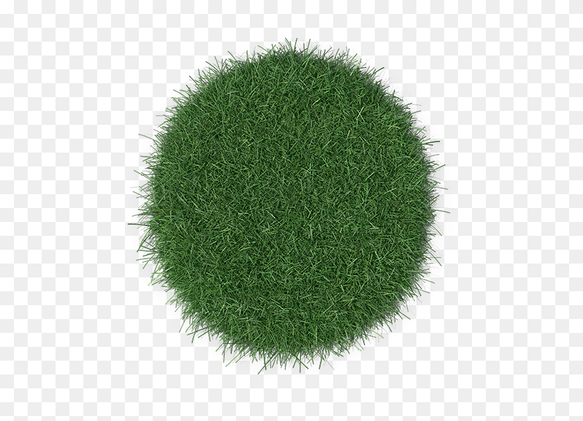 522x547 Easy To Install Yourself Chlorophyta, Green, Plant, Moss HD PNG Download