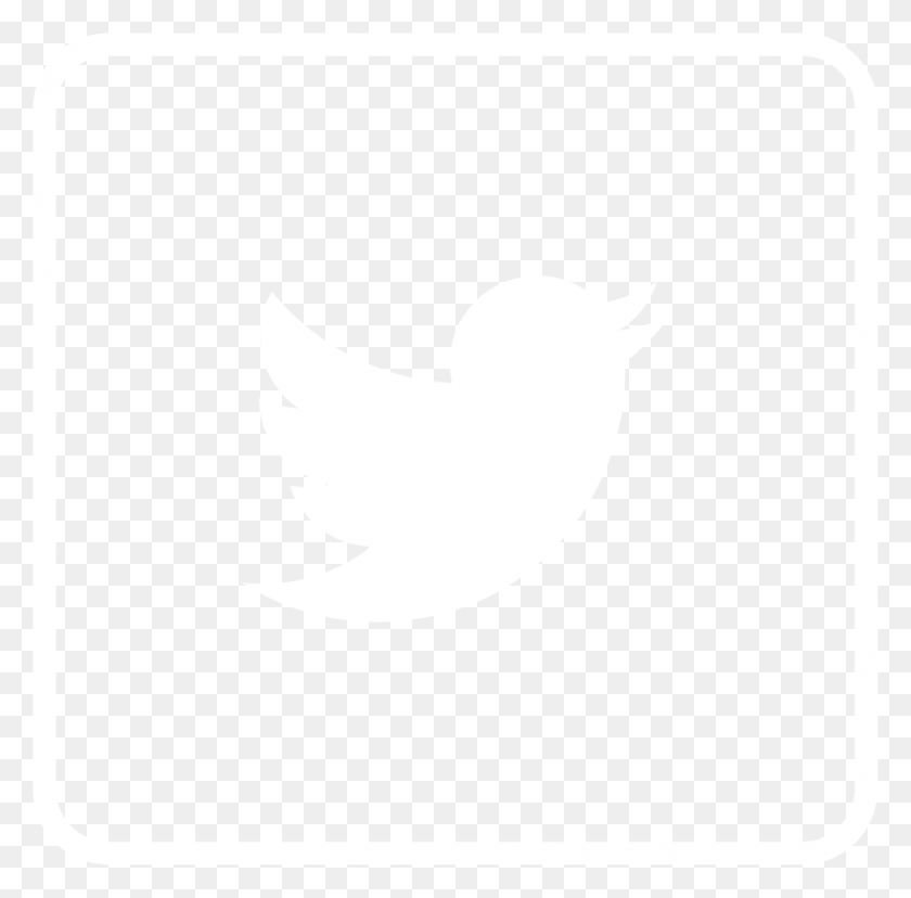 827x815 Easyrv Twitter Logo White Twitter, Texture, White Board, Text HD PNG Download