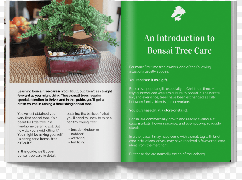 Ebook Open Min Flyer, Advertisement, Plant, Poster, Potted Plant Transparent PNG