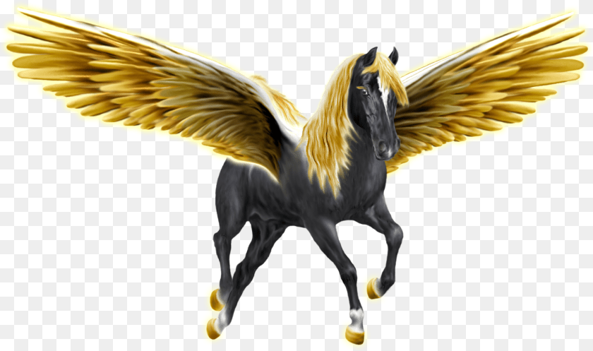 1325x784 Ecm Pegasusgoldenwingsblack1325 Rev, Animal, Bird, Vulture, Horse Clipart PNG